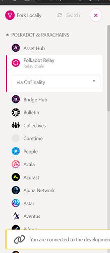 Polkadot JS Chain Selector