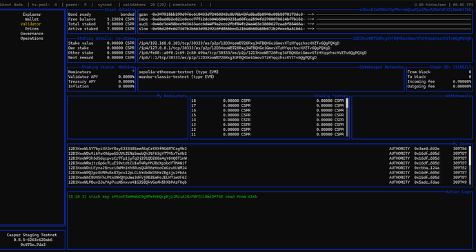 validator screenshot